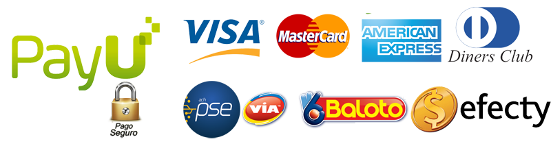 Medios de Pago Seguros